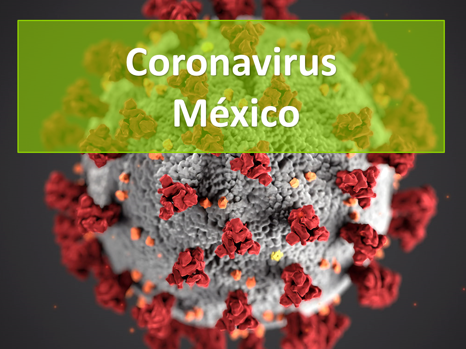 CORONAVIRUS MÉXICO 