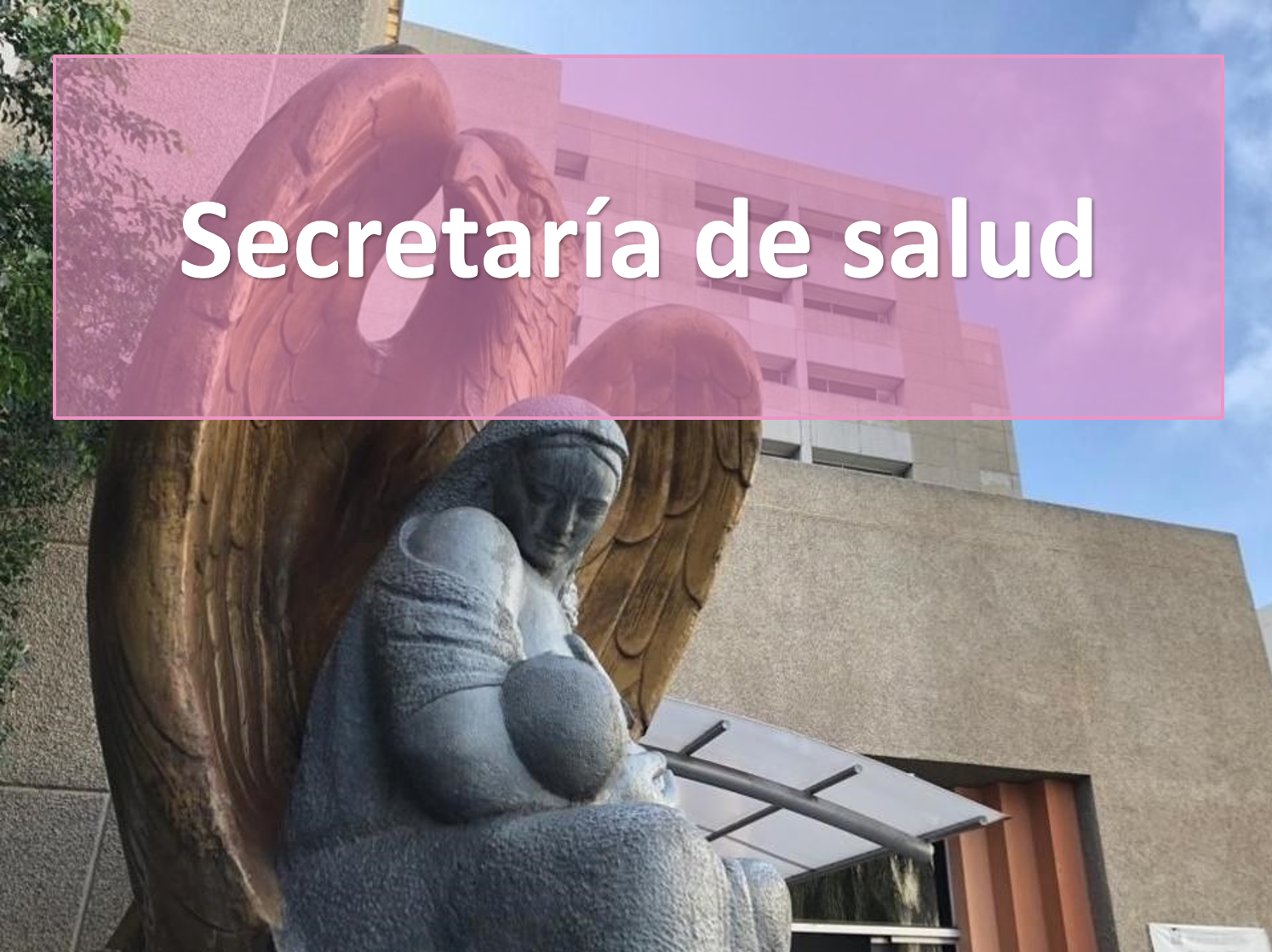 SECRETARÍA DE SALUD